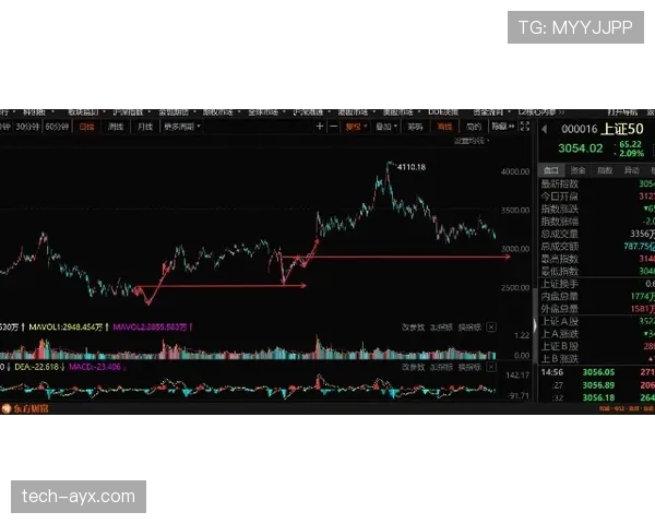 防守犯规怎么判？新手必知的5个关键判定标准